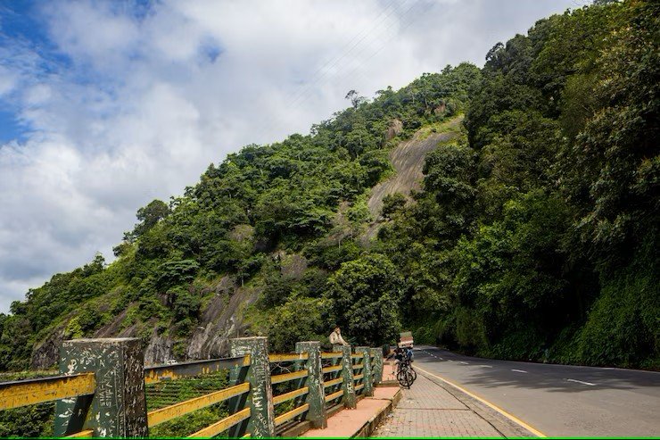 Cliff edge view